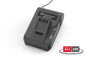 AKKU-LADEGERÄT P4A 18-C170 8A